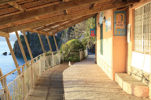 bar dell'amore nella via dell'amore cinque terre