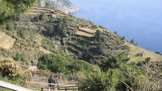 bar dell'amore nella via dell'amore cinque terre